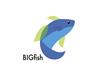 Big Fish Information Technology Services